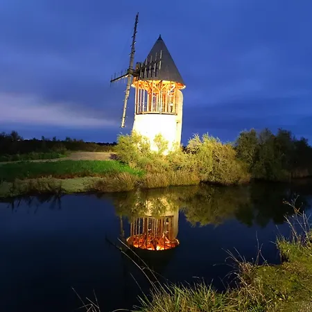 Les Oliviers Проживание в семье L'Ile-d'Olonne