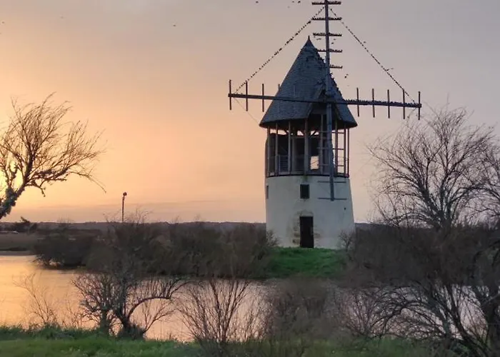 Accommodatie bij particulieren Les Oliviers