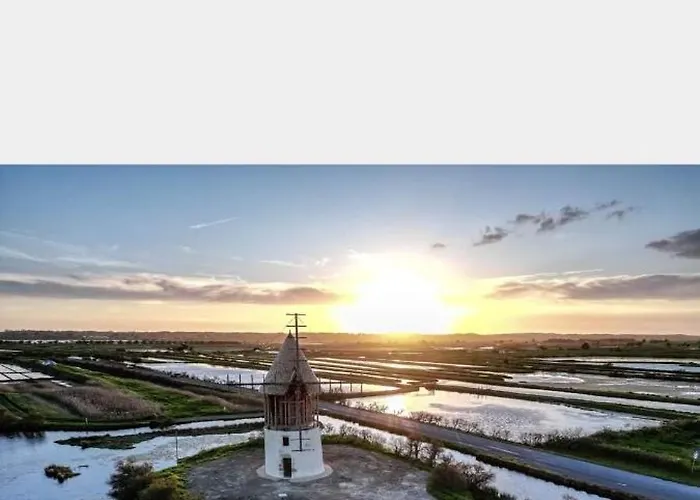 Les Oliviers * L'Ile-d'Olonne