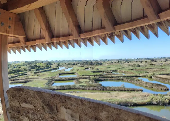 Accommodatie bij particulieren Les Oliviers